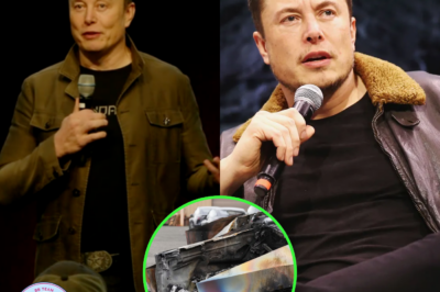 Elon Musk says he is harmless and says he is shocked by the level of hate and sabotage against Tesla: ‘I have never done anything harmful’