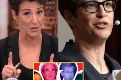 Rachel Maddow SHOCKS MSNBC Executives: Exposes Their Role in the Drastic Decline of Viewership-The Evidence Will Leave You Stunned!