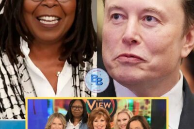 BREAKING: Elon Musk makes a bold decision: he launches a public campaign to shut down “The View” seeking support to end the controversial show once and for all.