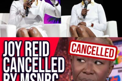 Joy Reid Drops Bombshell Files Before Exit, Exposing Shocking Scandal That Leaves MSNBC Executives Panicking and Scrambling to Contain Explosive Fallout, Amid Rumors of Cover-Ups, Secret Meetings, and Power Struggles at the Highest Levels of the Network’s Leadership Just Days Before Her Dramatic Departure from the Spotlight.
