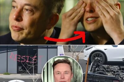 Sh0cking: Elon Musk was Stunned by Global Hate towards him and Claimed He’s “Innocent”, Never Harmed a Soul!
