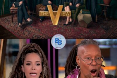 Sunny Hostin surprised everyone on The View by sharing proof that Elon Musk is “manipulating” the U.S. government. What’s the deal?