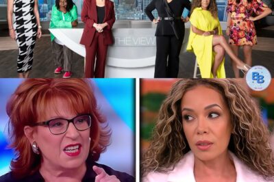 Viewers Outraged as ‘The View’ Abruptly Disappears from Airwaves This Week – Network Silent on Sudden Disruption, Sparks Wild Theories About Behind-the-Scenes Drama and Possible Cast Shake-Up! What is ABC HIDING from you?