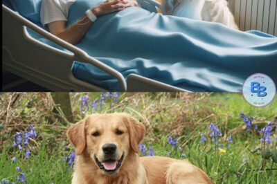 Heartbreaking Goodbye Turns into a MIRACLE! Dog Was Brought to Say Final Farewell to Dying Owner—But What Happened Next SHOCKED Doctors and Left the Whole Room in Tears! The dog’s emotional reaction defied all logic, bringing an unexpected twist that no one could explain. This touching moment, caught on camera, is now melting hearts across the globe.