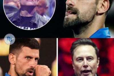 Novak Djokovic stunned the entire world by rejecting Elon Musk’s $10 million offer: “Keep it and spend it on something that truly helps people!”