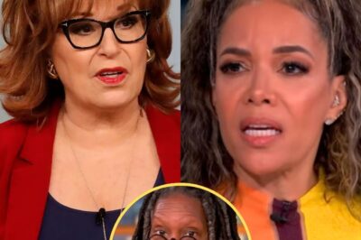 ‘The View’ ERUPTS in Chaos: ABC Issues Emergency Warning to Hosts After Live TV Blow-Up—What REALLY Happened During the Commercial Break? Fans Left Gasping as Show Spirals Out of Control! Is This the End of Daytime TV’s Loudest Voices?