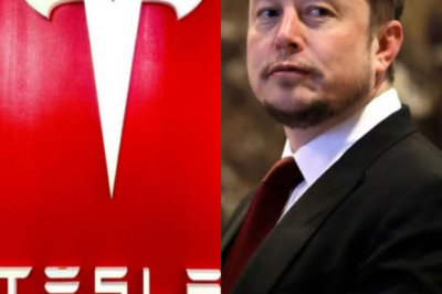 BREAKING: Canada Sh0cks the World with Bold Move to Shut Down Tesla and U.S. Auto Industry – Elon Musk Fires Back with a Sh0cking 8-Word Response, Unveiling a Hidden Truth That Leaves Everyone Stunned!