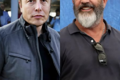 Mel Gibson, Mark Wahlberg, and Elon Musk Team Up to Build $3 Billion ‘Non-Woke’ Film Studio—A Revolutionary Move to Bring Back Traditional Family Values!