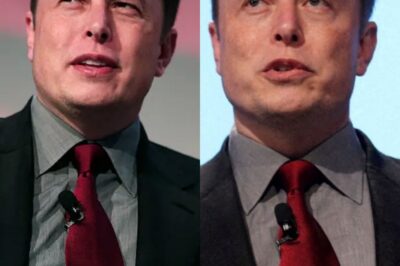 ‘I’m Broken!’ Elon Musk’s Heart-Stopping Breakdown After Losing a Staggering $29 Billion in 24 Hours Sh0cks the Globe!