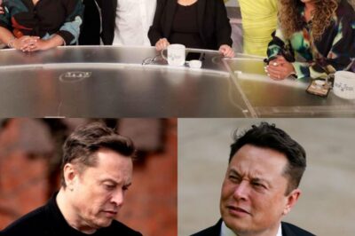 Elon Musk ‘Declares War’ on The View: Famous Hosts Respond ‘Fiercely,’ Refusing to Back Down