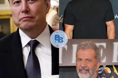 Mel Gibson And Mark Wahlberg Partner With Elon Musk And Invest Between $1 Billion And $3 Billion In A “non-woke” Film Studio Committed To Traditional Family Values