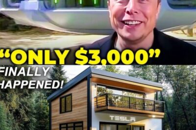 Tesla 2025 Tiny House for Under $6,999: Elon Musk Unveils a Game-Changer for the Masses!