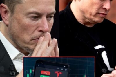 Tesla Stock Plunges, Erasing $460 Billion as Musk’s Political Gambit Sparks Investor Exodus