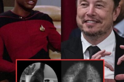Elon Musk Unveils $5,000 Brain Chip to Restore Vision for the Blind