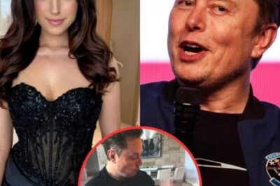 Elon Musk Denies Paternity, Declares Massive Amount Given to Ashley St. Clair