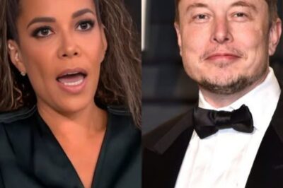 BREAKING: Sunny Hostin shocks audience by calling Elon Musk a “bastard” on The View. Musk’s reaction leaves the entire studio stunned, prompting Joy Behar to issue an immediate apology!