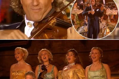 André Rieu brings a mesmerizing version of Chanson D’Amour, making the audience not only enjoy the music but also feel the love in every note. With his talented violin, Rieu breathes life into the sweet French love song, bringing soft and romantic melodies like romantic evenings under the lights of Paris. Each of his notes is like a whisper of the heart, full of desire and emotion. This is not just music, but a journey of love, where the listener cannot help but be absorbed in the delicate beauty of classical music. An emotional performance, making every moment memorable.