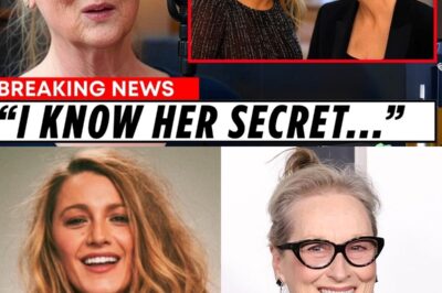Meryl Streep FINALLY REVEALS How Blake Lively Tried to ERASE Her From Her Own Film?!