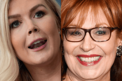 ‘The View’ host says Trump press secretary ‘probably’ got job because ‘she’s a 10’