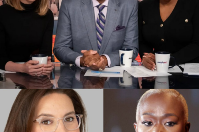 Fans Are Losing Their Minds and Spreading Strange Rumors After MSNBC boss Rebecca Kutler is struggling to contact Joy Reid after brutally firing her