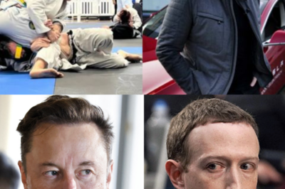 Mark Zuckerberg and Elon Musk Set to Battle in the Ultimate Cage Fight! Billionaire Rivals to Face Off in an Unprecedented Clash of Tech Titans! Time and location to be revealed