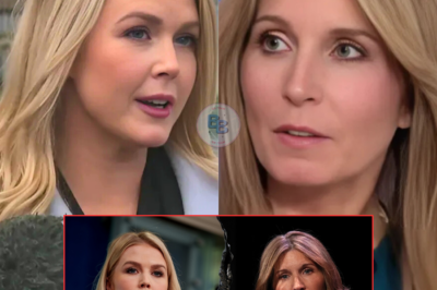 BREAKING NEWS: Chaos Erupts as Karoline Leavitt Unleashes Fury on M.S.N.B.C’s Nicolle Wallace, Sparking Fan Frenzy; Sh0cking Revelation Unveils Hidden Truth Behind the Explosive Confrontation, Leaving Everyone Speechless and Understanding the Unimaginable Rage That Ignited a Media Firestorm Across the Nation.