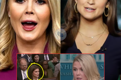 Karoline Leavitt Shakes Up Media World: Bans CNN’s Kaitlan Collins in a Sh0cking Turn of Events After a Question Sparks 0utrage! Discover the Astonishing Details Behind the Confrontation That Left Reporters Speechless and Raised Eyebrows Across the Nation, Redefining Press Relations Forever!