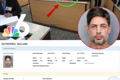 Breaking News: Heartthrob William Levy Caught in Scandalous Arrest! Shocking Details Emerge as Fans Demand Answers—What Really Happened to the Beloved Star? From Secret Affairs to Hidden Agendas, Dive into the Mystery Behind This Unbelievable Turn of Events That Has Left Hollywood and Fans Reeling!