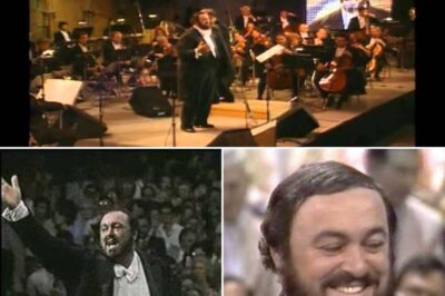 On June 28, 1993, Luciano Pavarotti performed Serenata by Pietro Mascagni during his historic Central Park concert, drawing over 500,000 attendees. Accompanied by the New York Philharmonic under Leone Magiera, Pavarotti brought Mascagni’s poignant melody to life, showcasing his unparalleled artistry in a performance that remains a landmark in classical music history.