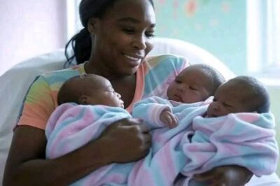 Exciting News! Tennis Legend Venus Williams Welcomes Triplets with Her Fiancé: “I’m Finally a Mother!”