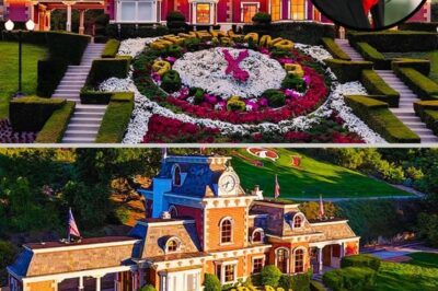 The Catastrophic Collapse of Michael Jackson’s Neverland Ranch!. What Caused the Collapse?