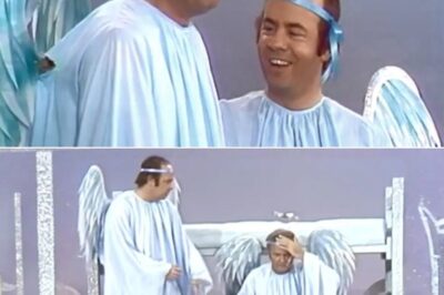 40 years later, Tim and Harvey still make me cry from laughter: A timeless comedy duo whose hilarious and unexpected moments continue to captivate audiences, proving that true comedy never gets old, and every rewatch brings new joy and laughter, no matter how many times you’ve seen their skits, their perfect chemistry and spontaneity always bring something fresh and delightful to the table that will leave you in stitches every single time.