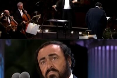 Luciano Pavarotti’s performance of “Nessun dorma” at The Three Tenors in Concert 1994 remains one of the most memorable moments in opera history. His powerful, emotional rendition of the aria from Puccini’s Turandot captivated millions worldwide. With flawless technique and deep emotional expression, Pavarotti’s performance solidified his legacy as one of the greatest tenors, making “Nessun dorma” synonymous with his name for generations to come.
