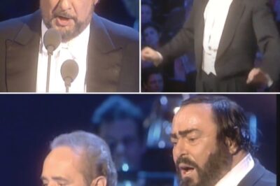 In 1999, the iconic Three Tenors—José Carreras, Plácido Domingo, and Luciano Pavarotti—brought an unparalleled sense of grandeur and emotion to their Christmas concert at Vienna’s Konzerthaus. The highlight of the evening was their powerful and moving rendition of John Lennon and Yoko Ono’s Happy Christmas (War Is Over), a timeless anthem of peace and hope. Each tenor infused the song with his unique voice and operatic brilliance, weaving a harmonious tapestry of sound that resonated deeply with the audience. Surrounded by the elegance of the concert hall, the trio’s performance became more than just a festive celebration—it became a stirring call for peace, unity, and love. The majestic orchestral backdrop amplified the message, making this rendition one of the most memorable moments in classical holiday music.