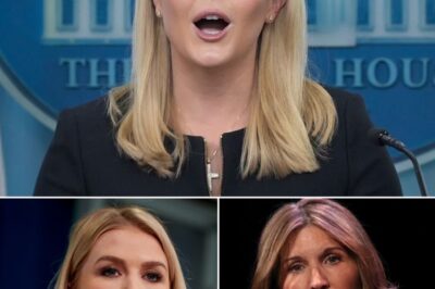 Karoline Leavitt’s Controversial Confrontation with MSNBC’s Nicolle Wallace Sparks Outrage — But the Surprising Truth Behind It Changed Everything