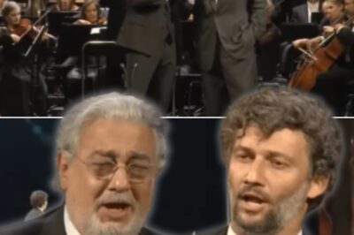 The great opera singers Placido Domingo and Jonas Kaufmann revive Franz Lehár’s timeless “Dein ist mein ganzes Herz”, creating a perfect blend of tradition and fresh emotion. Domingo’s warm, dramatic tenor voice blends beautifully with Kaufmann’s ethereal and graceful voice, creating a captivating duet steeped in love and deep respect for the music. The emotional orchestra adds to the grandeur and intimacy of the work.