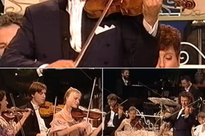 In 1995, André Rieu and the Johann Strauss Orchestra presented a mesmerizing concert with “La Traviata Waltz Medley”, a medley of famous waltzes from Verdi’s opera La Traviata. Under Rieu’s masterful conduct, the music in the medley not only surged with emotion but also painted a romantic picture, drawing listeners into a world of love and tragedy, where music is the only language to communicate with the heart.