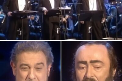 With “Feliz Navidad” from Christmas in Vienna 1999, The Three Tenors- Luciano Pavarotti, José Carreras and Plácido Domingo created a memorable classical music performance, bringing the Christmas spirit to life with every emotional note. The perfect combination of excellent operatic technique and festive atmosphere made the traditional Christmas carol more splendid and profound than ever. This performance was not only a fusion of three legendary tenors, but also an emotional journey, where music transcended time and space, connecting every heart on the festive night.