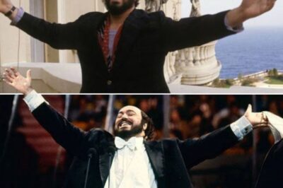 An exceptional performance: reliving the unforgettable magic of ‘Nessun Dorma’ at the Royal Albert Hall in 1982, where timeless vocals, raw emotion, and unmatched passion came together to create a moment that captivated audiences and forever solidified its place in the rich history of opera