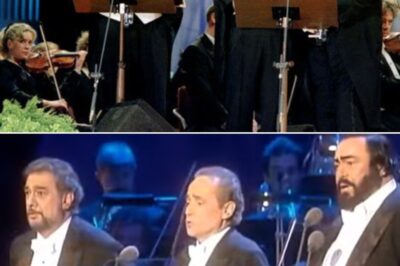 A “Lulajże Jezuniu” with Plácido Domingo, Luciano Pavarotti and José Carreras combined their incomparable voices to create a soul-stirring performance at the Vienna Christmas Concert in 1999. This profound Polish Christmas carol, sung with tenderness and reverence, was brought to life by the sublime talents of the three tenors, whose voices blended beautifully with the Vienna Philharmonic Orchestra and the angelic melodies of the Gumpoldskirch Boys’ Choir. The result was a moving, ethereal performance that touched the hearts of all who witnessed it, evoking a sense of peace and divine grace.