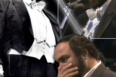 In 1991, Luciano Pavarotti immersed thousands of audiences in every note of his Italian-inspired tenor voice in the vast space of Hyde Park. The romantic aria “Non ti scordar di me” sounded like a touching confession, reaching the pinnacle of technique while awakening deep emotions. The performance not only brightened up the London summer but also left an everlasting mark on the history of classical music.