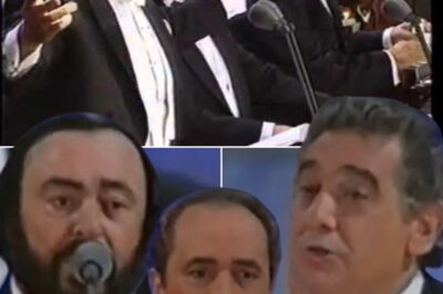 During a historic performance in Germany in 1996, the three legendary voices Luciano Pavarotti, Plácido Domingo and José Carreras came together to recreate one of the most beautiful Italian love songs, Marechiare by Salvatore Di Giacomo. More than just a performance, “Marechiare” became an emotional journey, where each voice brought a distinct nuance – from Pavarotti’s profound power, Domingo’s captivating sophistication, to Carreras’ mysterious lightness. That moment revived the timeless beauty of Italian music, touched the hearts of the audience and left an indelible mark on the history of classical music.