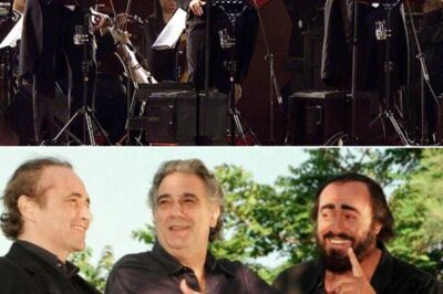 The legendary Three Tenors—Luciano Pavarotti, Plácido Domingo, and José Carreras—delivered a dazzling rendition of “New York, New York” during their unforgettable 1996 concert in New Jersey. Their powerful vocals and charismatic performance brought a touch of operatic grandeur to the classic tune, leaving the audience in awe.