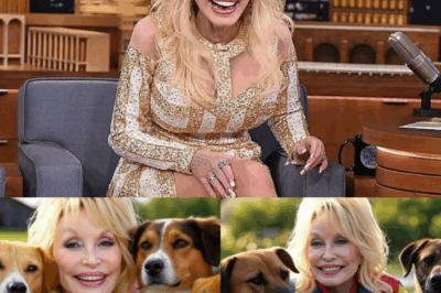 Hearts Unleashed: Dolly Parton’s $20 Million Pledge Creates Sanctuary for Abandoned Dogs
