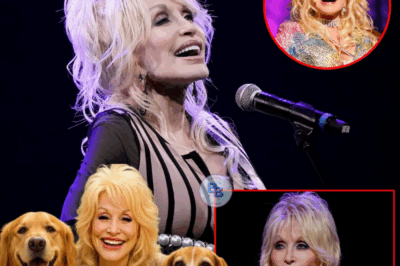 Dolly Parton ignites the web with a shocking announcement: she will invest 20 million dollars to build a ‘paradise’ dedicated to rescuing stray dogs, promising love and a home to thousands of abandoned puppies.— (Full Details Below👇)