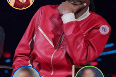 The Voice Season 28 Coaches Revealed: Who’s Joining Snoop Dogg This Fall?