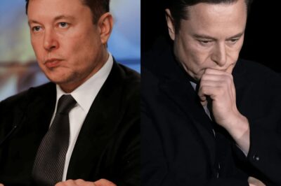 SH0CKING: Elon Musk Faces a Dire Crisis as Tesla Bleeds $800 Billion and X Drops $44 Billion—Legal Storms Brewing That Could Change Everything for the Tech Giant’s Future!