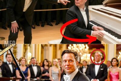 Elon Musk Mocks a Famous Pianist — Then Plays and Leaves the Whole World Speechless