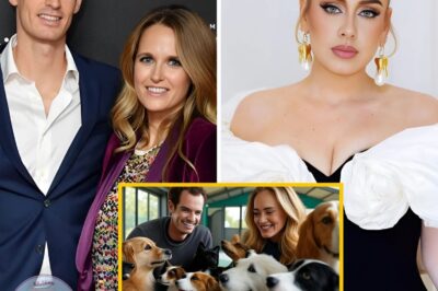 Adele and Andy Murray Join Forces to Build a £20 Million Animal Shelter for Abandoned Pets, Providing Them With A Safe Place And The Best Care—Discover Why This Heartwarming Mission Has Everyone Talking Now!