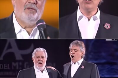 Two great voices of the world opera – Andrea Bocelli and Plácido Domingo – brought a haunting and emotional “Non Ti Scordar Di Me”. This famous love song, composed by Ernesto de Curtis, is recreated through the perfect combination of Bocelli’s smooth, emotional tenor voice and Domingo’s warm, powerful baritone voice.